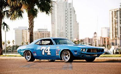 Blue, Dodge Challenger, classic car