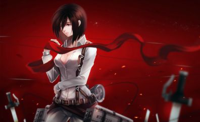 Anime, Mikasa Ackerman, fighter