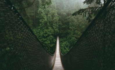 Bridge, forest, suspension bridge