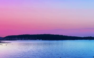 Pink skyline, sunset, lake, trees
