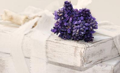 Lavender, purple flowers, wrapper, ribbons