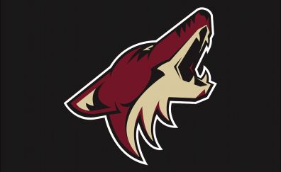 Arizona Coyotes, Ice hockey, sports, logo