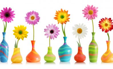 Flowers, colorful, vase