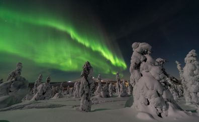 Aurora borealis, northern lights, 4k