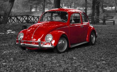Volkswagen, Beetle red car