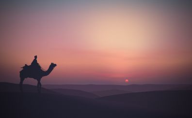 Sunset, skyline, nature, camel