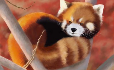 Red panda, animal, art