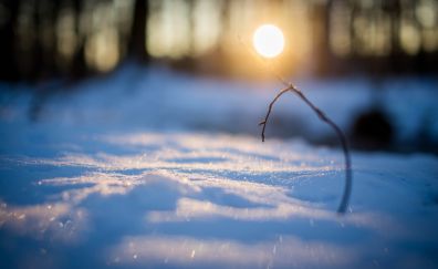 Sunrise, winter, snow, blur