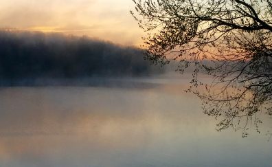 Sunset, fog, mist, tree branches, nature, lake