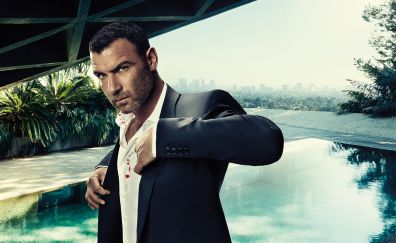 Ray Donovan TV show, Actor, suit