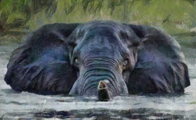 Elephant animal artwork