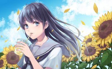 Cute anime girl, original, sunflowers