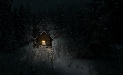 House, cabin, night, winter