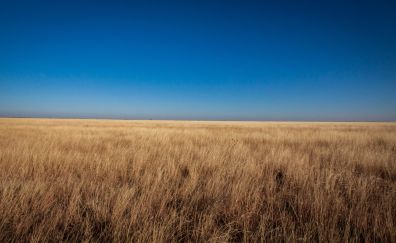 Sky, grassland, landscape, 4k