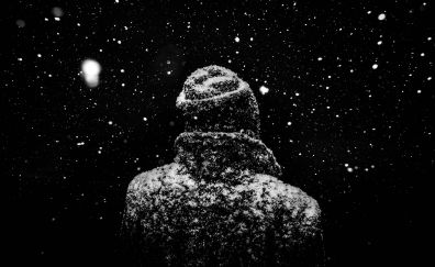 Monochrome, winter, snowfall, 4k