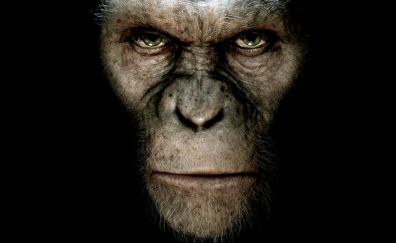 Rise of the Planet of the Apes movie