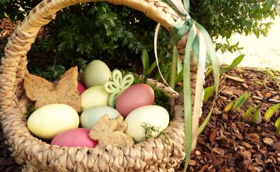 Easter nest, Easter eggs, colored