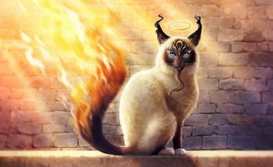 Cat on fire, fantasy, artwork