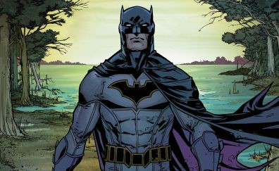 Confident batman, dc comics