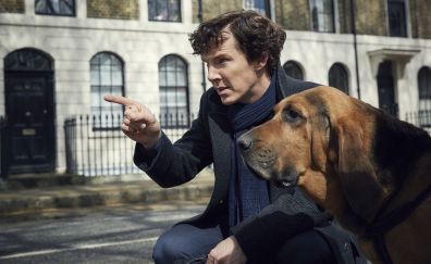Benedict Cumberbatch in sherlock tv series, dog