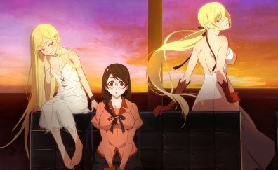 Anime girls, blonde anime, monogatari