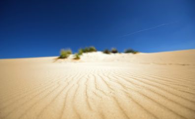 Desert blurred