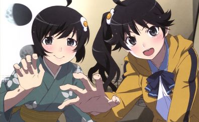 Karen Araragi, Tsukihi Araragi, Bakemonogatari, anime girls