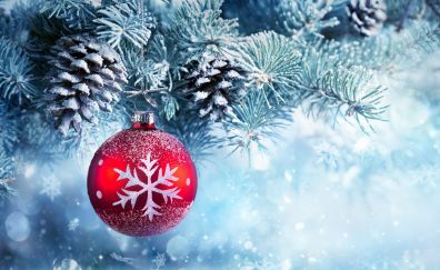 Christmas ball, christmas ornament, winter, pine trees, frost, 5k