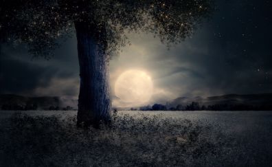 Tree, landscape, night, moon