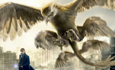 Thunderbird fantastic beasts and where to find them movie