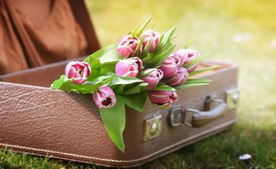 Luggage, tulip, spring, suitcase