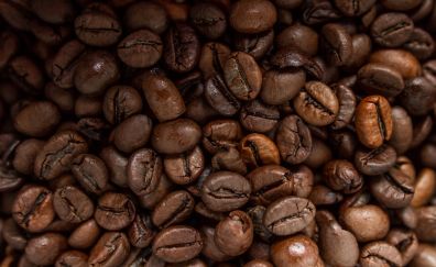 Roasted coffee beans, close up