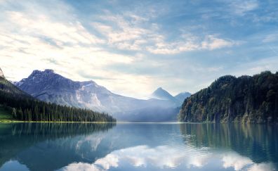 Lake, reflections, tree, mountains, nature