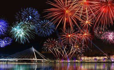 Happy new year 2017 fireworks