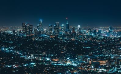 Los Angeles city in night