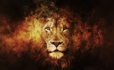 Fire king artwork lion