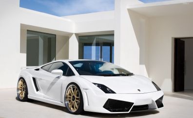 White Lamborghini Gallardo car