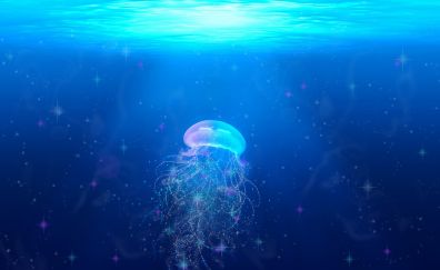Jellyfish, glitter, art