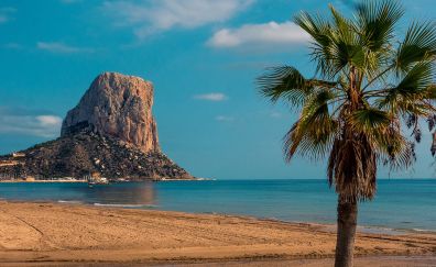Spain beach, tree, sand, mountains, cliff