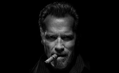 Arnold Schwarzenegger actor