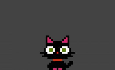 Black cat, pixel art