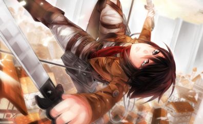 Swords, fight, Mikasa Ackerman