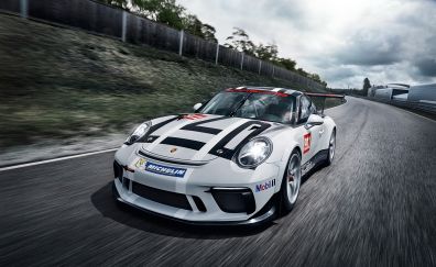 White sports car, on road, Porsche 911, speedster