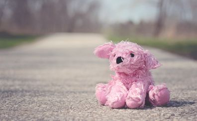 Pink toy, teddy bear, road