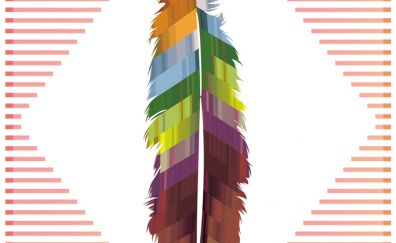 Feather, colorful, material design