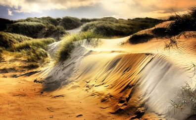 Dunes beach landscape nature
