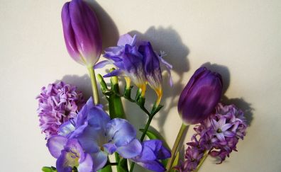 Bunch of flowers, purple flowers