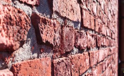 Red, Wall, bricks wall, close up