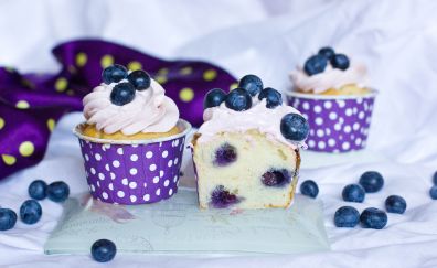 Cupcake, fairy cake, blueberry