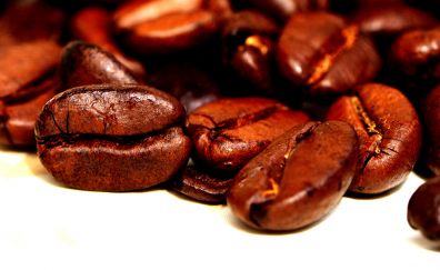 Coffee beans, roasted, close up